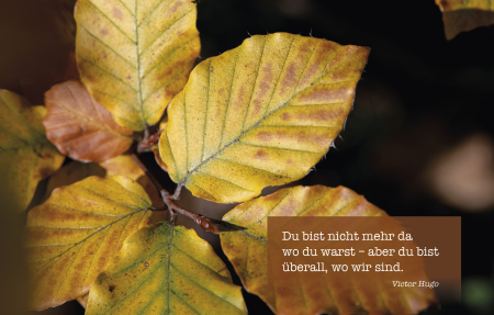 Sujet 11: Herbst