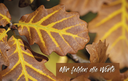 Sujet 12: Herbst