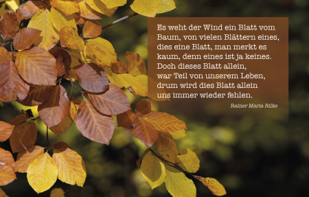 Sujet 10: Herbst